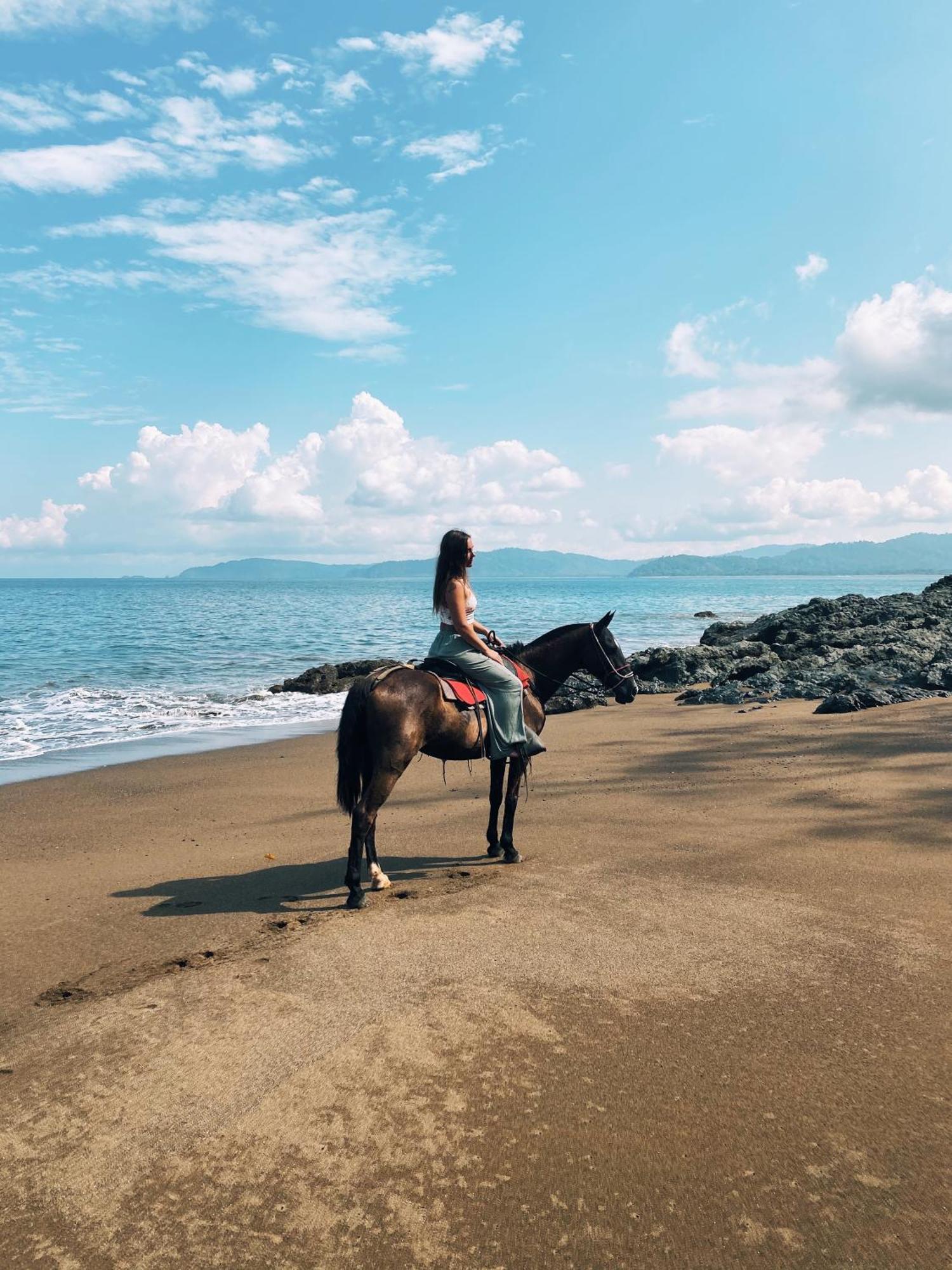 Drakes Bay Copa De Arbol Beach & Rainforest Resort מראה חיצוני תמונה